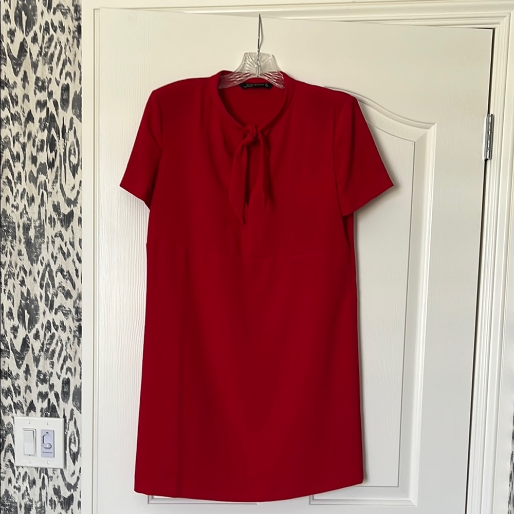 Zara Red Sheath Mini Dress with Mandarin Collar